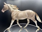 Peter Stone    bubbles    Palouse Pinto Champ  2004 Le 200 By Wendy Galbreath Le 200