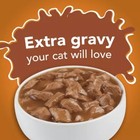 Purina Friskies Extra Gravy Chunky Salmon   Beef Wet Cat Food - 5 5oz 24ct