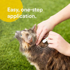 Flea   Tick Spot Treatment For Cats  Over 1 5 Lbs  12 Doses  12-mos  Supply 