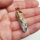 Archaeotherium Hell Pig Fossil Tooth Pendant White River Nebraska Entelodont