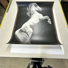 Joseph Piccillo - White Horse Poster  1990   Brendan Walter