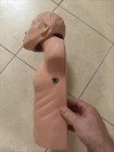 Simulaids Brad Adult Cpr Manikin Torso Nursing Emt Training