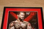 Cm Punk Wrestler Autographed Signed Framed 11x14 W 13 Poster Wwe Wrestling