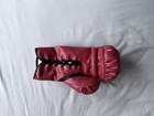 Mike Tyson Authentic Signed Right Hand Red Everlast Boxing Glove Bas