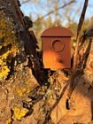 Geocaching Mini Birdhouse Hideaway - Weatherproof  With Film Tin Or Screw Container