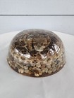 Vintage Real Diamondback Rattlesnake Resin Lucite Taxidermy Paper Weight 7 