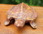 Set Of 2 Turtles  Male And Female Ceramic Anatomically Correct Novelty Vintage