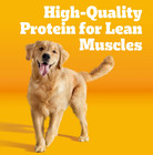 Complete Nutrition Adult Dry Dog Food  Grilled Steak   Vegetable Flavor  18 Lb  