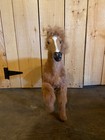 Large Horse Figure With Real Horse Hair And Skin