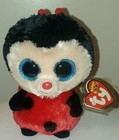 Ty Beanie Boos Bugsy The Ladybug  glitter Eyes  6  New Mwmts Stuffed Animal Toy
