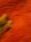 Vintage Whiskers Russ Berrie Orange Tabby Kitten Cat Stuffed Animal Plush 6  Nwt