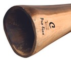 Didgeridoo Eucalyptus Proline  Incl Bag 59-63 Inch  tone Cis 