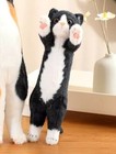Black Cat 10  Stuffed Animal Plush Toys Toddler Doll Kids Gifts