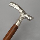 Wooden Walking Stick For Seniors  Silver Head Rosewood Brown Shaft Cane