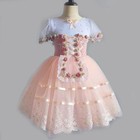Pink Ballerina Dress Girls Long Ballet Dress Dance Costume Performance Dress
