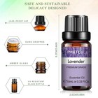 10 Ml Essential Oils - 100  Pure And Natural - Therapeutic Grade - Free Shipping