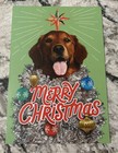 Merry Christmas Funny Dog Unleash The Season Of Fun 5 x7  Hallmark Greeting Card