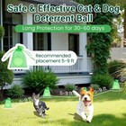 Cat Deterrent Outdoor  Natural Cat Deterrent Keep Cats Out Of Yard Permanentl   