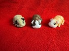 New 3d Mini Guinea Pig Printed Toy Sections Moving Parts Articulated Fidget Colo