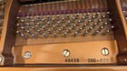 Showroom Condition  2011 Bosendorfer Model 200 Cs 6 7  Grand Piano