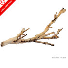 Exo Terra Forest Branch Small - Natural Wood Terrarium Small 