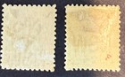 New South Wales - 1902   1897 2d X 2 Sg294b   315b  Mint    12 50  e641 