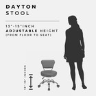 Dayton Pedicure Stool 13 -15  Pneumatic With Adjustable Height For Nail Spa