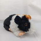 Ty Classics Patches The Guinea Pig Soft Toy 2009 No Hang Tags Replacement Plush