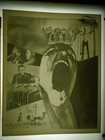 Pink Floyd The Wall Bob Geldof Roger Waters Lot Negative Only B w Movie Photo