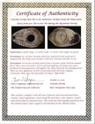 Oil Lamp Holy Land Ancient Artifact Jesus Christ Home Israel 300-600 Ad Coa 122