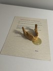 Prop Distressed Jaw Bone With Some Teeth From The Hit Tv Show  supernatural   