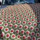 Vintage Handmade Afghan Crochet Knitted Throw Lap Blanket Daisy Flowers 7x5 Feet