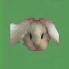 Rare Vtg Easter Porcelain Plush Bunny Rabbit Doll High End Jumper 24  Wow 