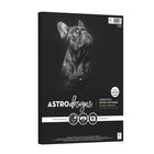 Black Cardstock 8 5x11 65 Lb 50 Sheets Acid Free Heavyweight Crafting Paper New