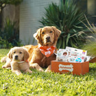 Healthy Edibles Wild Natural Dog Chew Treats  Bison Flavor  Small Dogs Up To 20