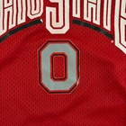 Ohio State Mesh Basketball Jersey 