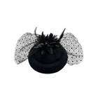 Black Feather Mesh Fascinator Hat Hair Clip Head Band Wedding Tea Cocktail Party