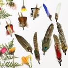 10pcs Hat Feathers  Natural Feathers Peacock Feathers For Hats  Colorful Feather