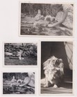 X22 Vintage 1950s Pekingese Dog Photo Snapshots Family Album Pet Photograph Uk