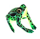 Oaxacan Wood Carving Hilario Blas Frog Oaxaca Mexican Folk Art Alebrije Mexico