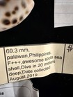 Cypraea Tigris 69 3mm Philippines F    2019  e038 