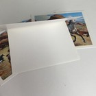 4 Orren Mixer Notecards Appaloosa Horse Mare And Foal No Envelopes Nez Perce