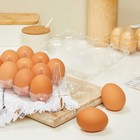 48x Egg Cartons For 1 Dozen Chicken Eggs  Clear Reusable Containers With Labels
