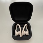 Beats By Dr  Dre Powerbeats Pro Bluetooth Wireless Ear-hook Earbuds W case