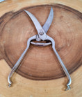 Vintage L f    C Landers  Frary   Clark Locking Poultry Shears Scissors Pearl