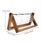 Glass Bulb Vase Planter Propagation Stations Vase Glass Plant Stand