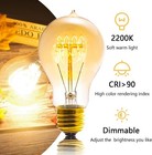 Edison Bulb  A19 Bulbs Pack  Retro Style Incandescent Light 6 40w Amber