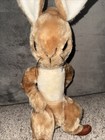 Eden Toys Peter Bunny      Rabbit Beatrix Potter Vintage Stuffed Animal 16    Usa