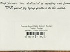 Whiting Coq De Leon Cream Badger Rooster Cape  Neck  Fly Tying
