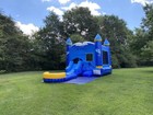 Commercial Inflatable Marble Dolphin Bounce House Combo Slide Pool   1hp Blower
